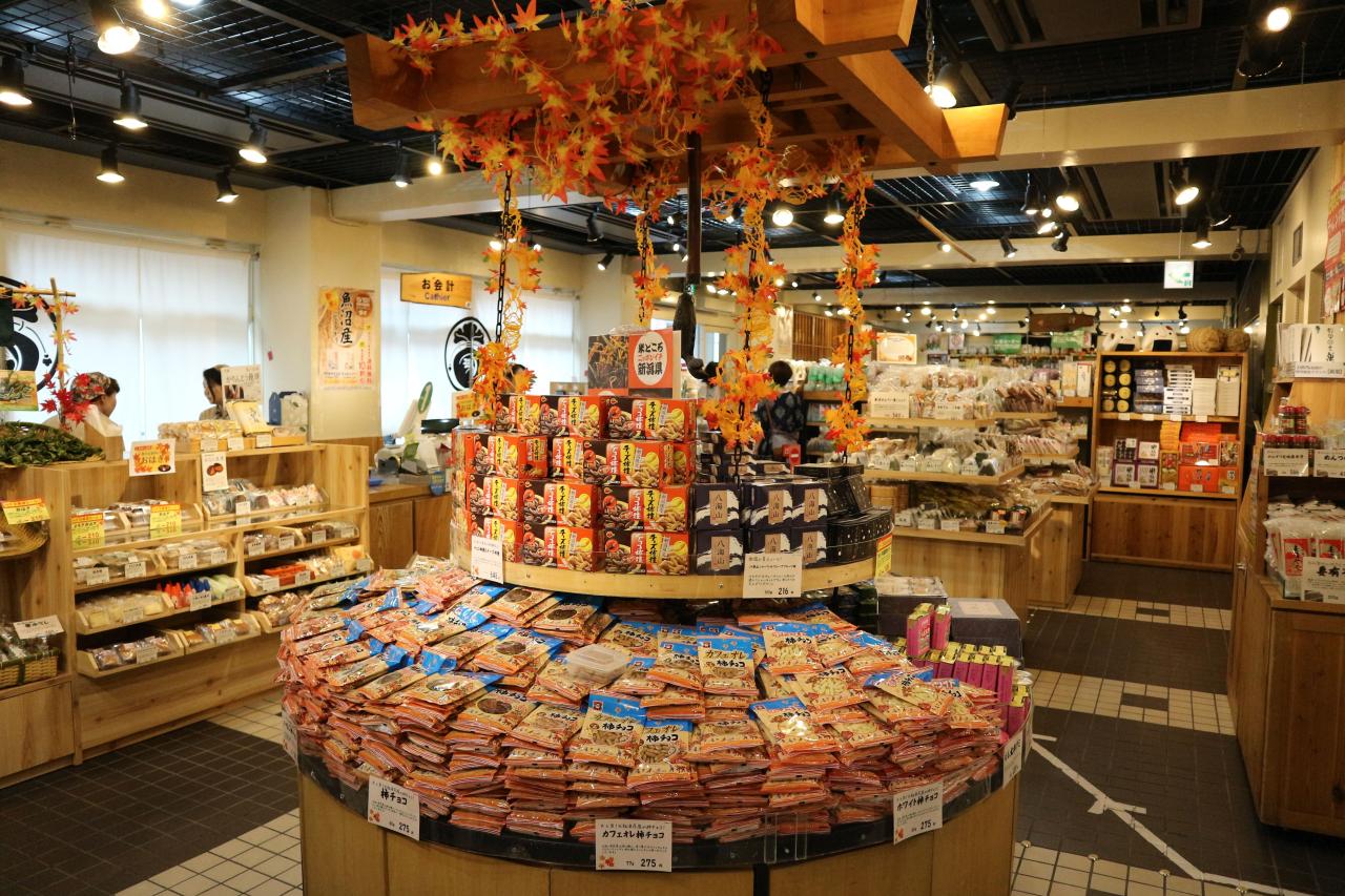  表参道・新潟館 ネスパス