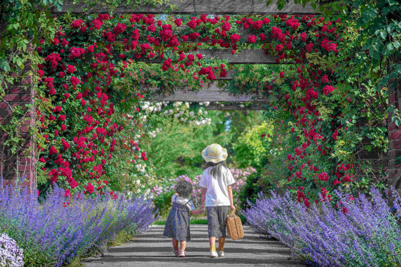 みつけイングリッシュガーデン